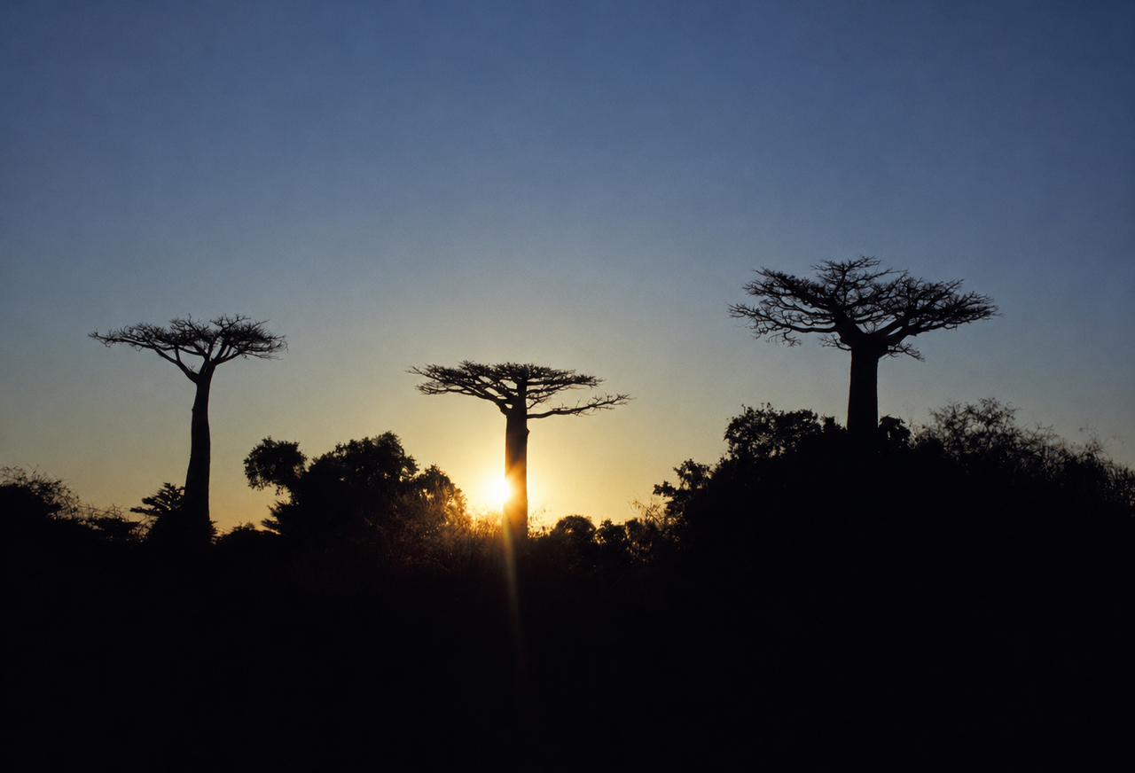 Madagascar Luxury Travel