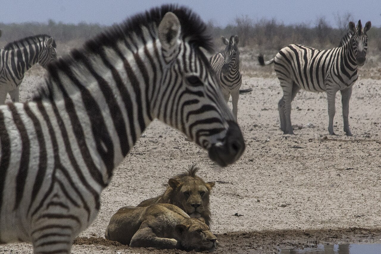 Namibia Luxury Travel