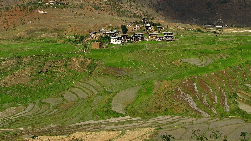 Paro