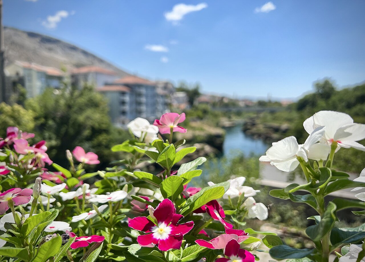 Mostar