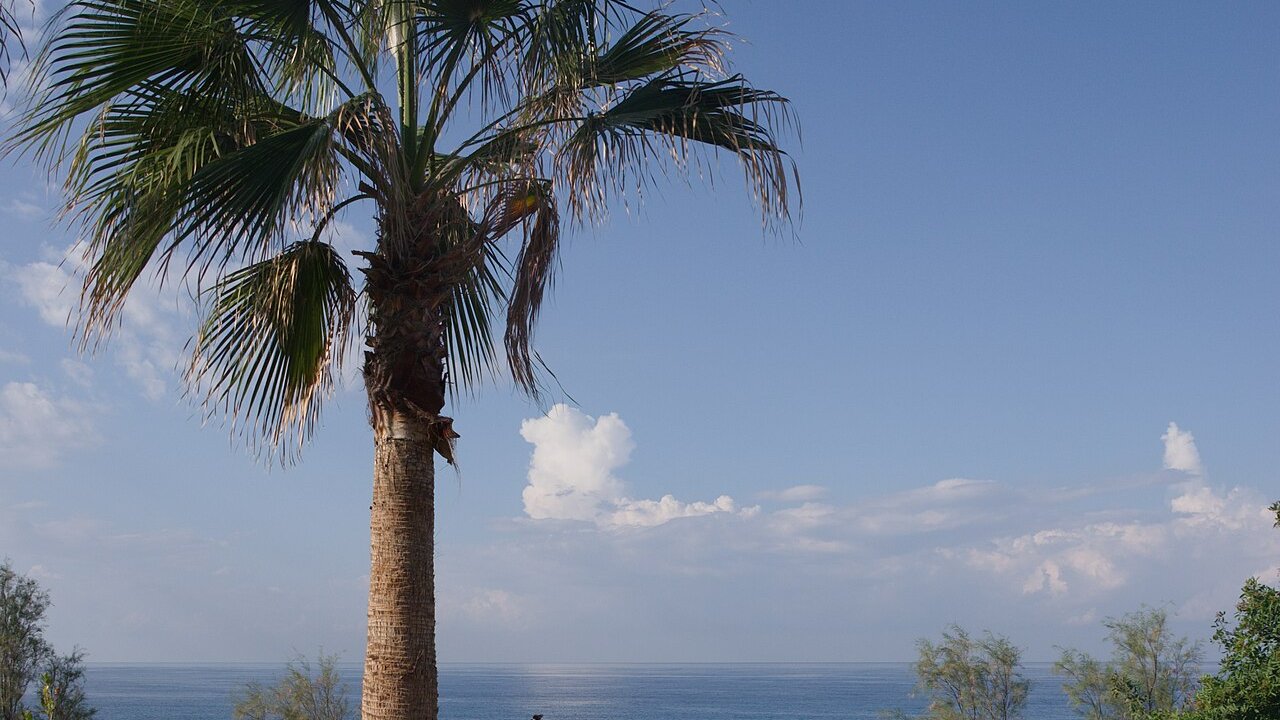 Paphos