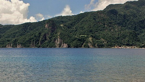 Roseau