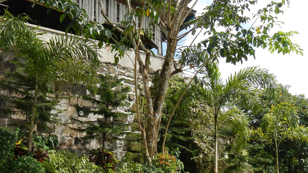 Santa Ana & Ruta de las Flores