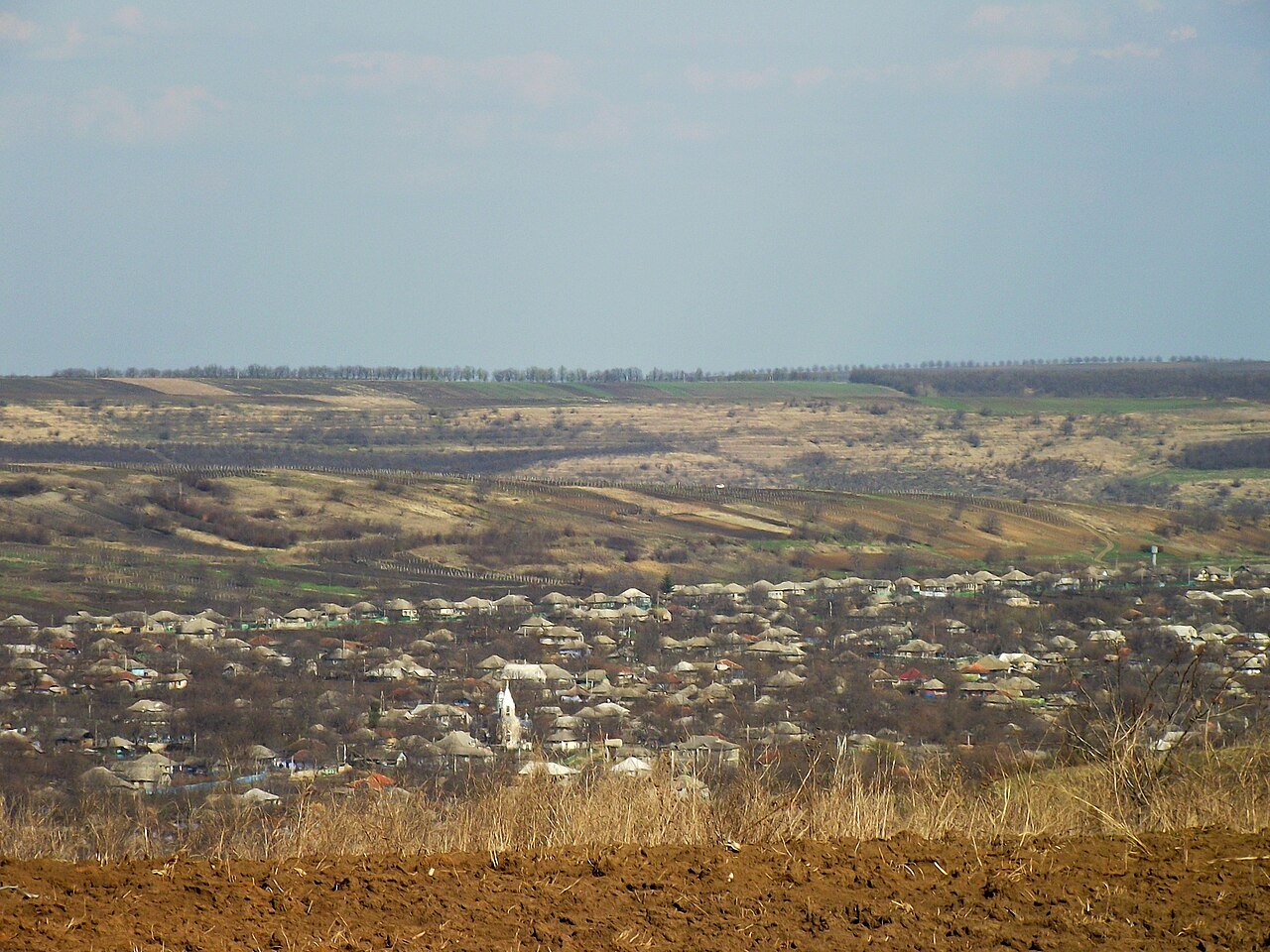 Orhei