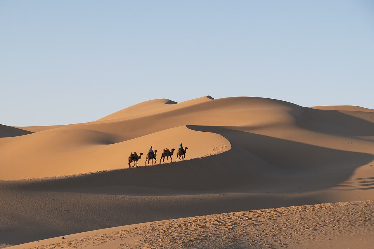 Gobi Desert (Dalanzadgad)